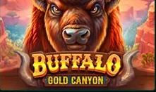 Buffalo Gold Canyon bei SpinBetter spielen
